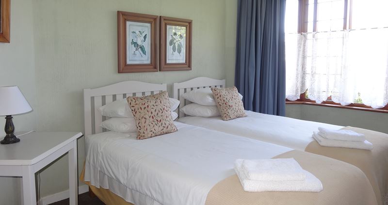 S bird bedroom 2