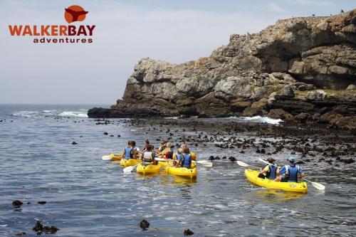 Sea Kayaking 2-min