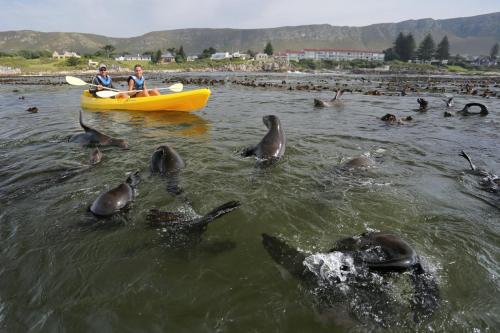 Sea kayaking-min