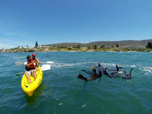 Sea kayaking 3-min
