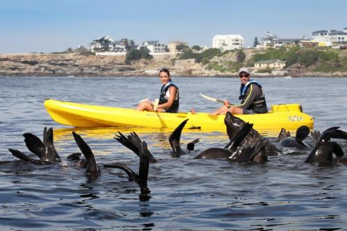 Sea kayaking 4-min